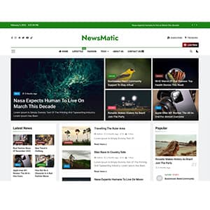 Image of News Matic website