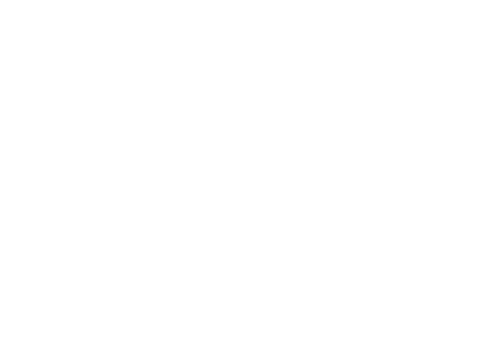 Somepixel logo